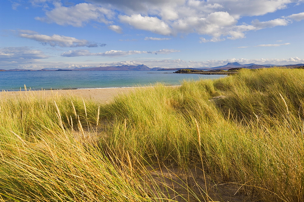 Sand dunes and dune grasses of Mellon Udrigle beach, Wester Ross, north west Scotland, United Kingdom, Europe