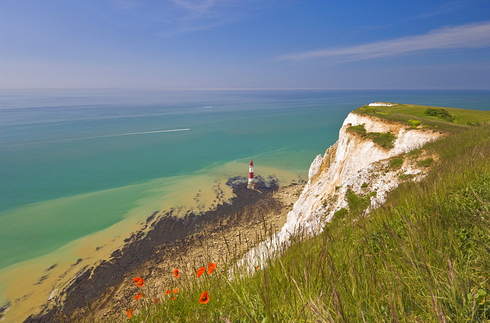 Beachy Head lighthouse, white chalk cliffs, poppies and English Channel, East Sussex, England, United Kingdom, Europe