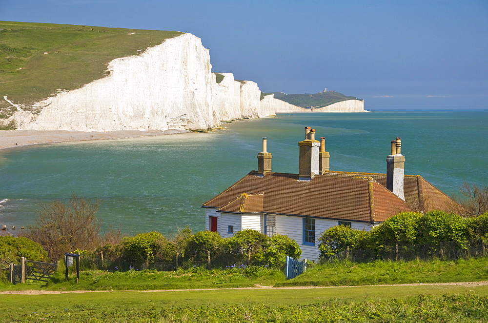 The Seven Sisters chalk cliffs, the coastguard cottages on Seaford Head, South Downs Way, South Downs National Park, East Sussex, England, United Kingdom, Europe