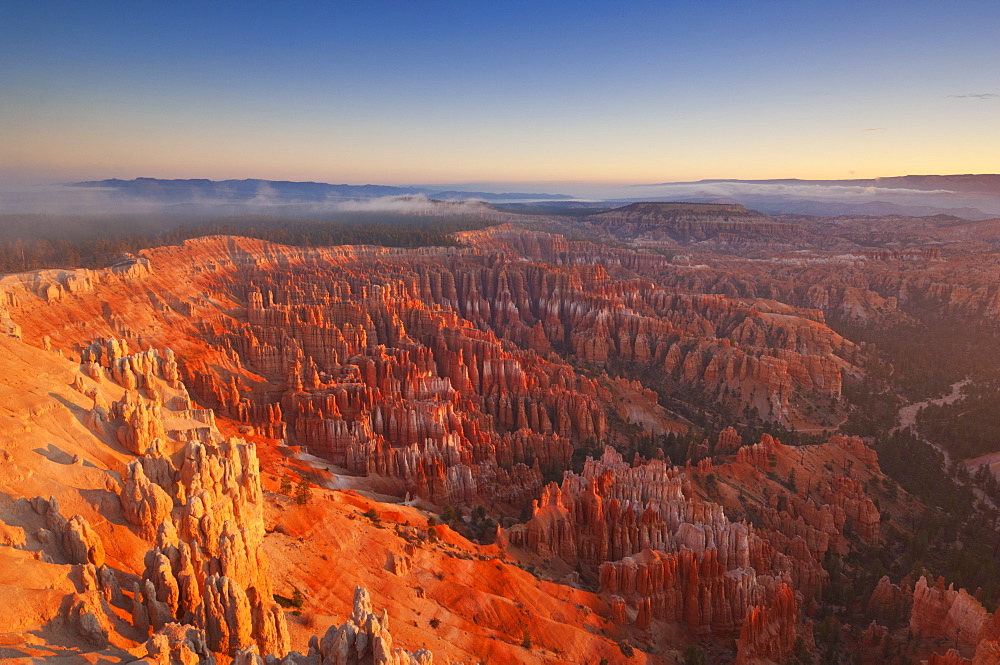 Sandstone hoodoos in Bryce Amphitheater, sunrise with low mist, Bryce Canyon National Park, Utah, United States of America, North America