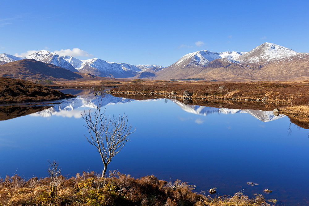 Snow covered mountains left to right Stob a'choire Odhair, Aonach Mor, Beinn Mhic Chasgaig, and Meall a'Bhuirudh, around Lochan na h-Achlaise lower Rannoch Moor, Argyll and Bute, Highlands, United Kingdom, Europe