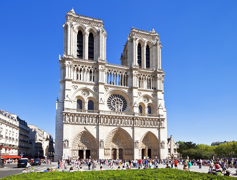 Front facade of the Cathedral of Notre Dame, Ile de la Cite, Paris, France, Europe