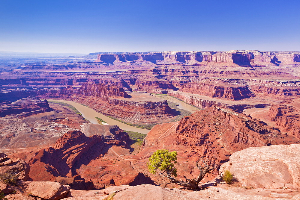 Colorado River Gooseneck Bend, Dead Horse Point State Park Overlook, Utah, United States of America, North America 