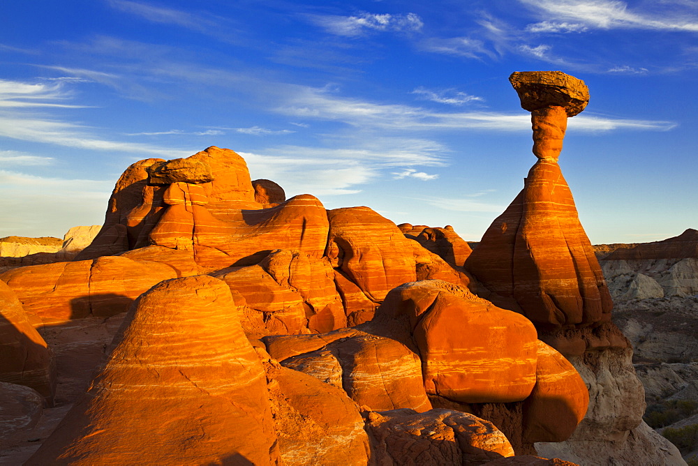 Toadstool Paria Rimrocks at sunset, near Kanab, Grand Staircase-Escalante National Monument, Utah, United States of America, North America 