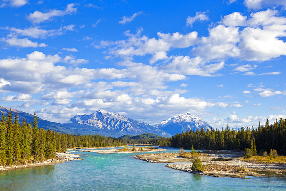 The Athabasca River flowing through Jasper National Park, UNESCO World Heritage Site, outside the town of Jasper, Alberta, Canadian Rockies, Canada, North America