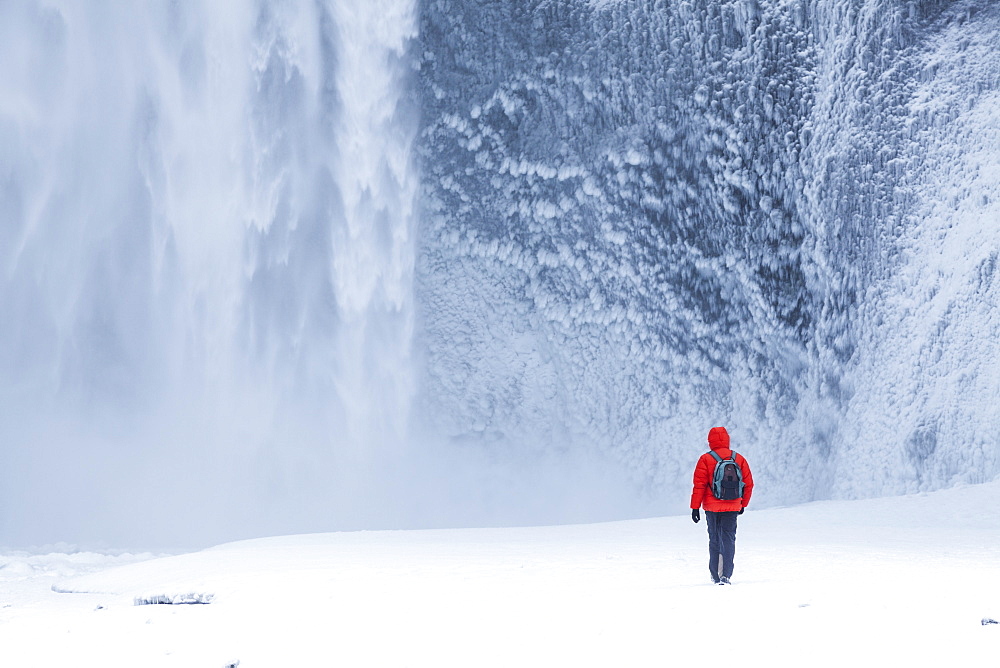 One person in red jacket walking in the snow towards Skogafoss waterfall in winter, Skogar, South Iceland, Iceland, Polar Regions