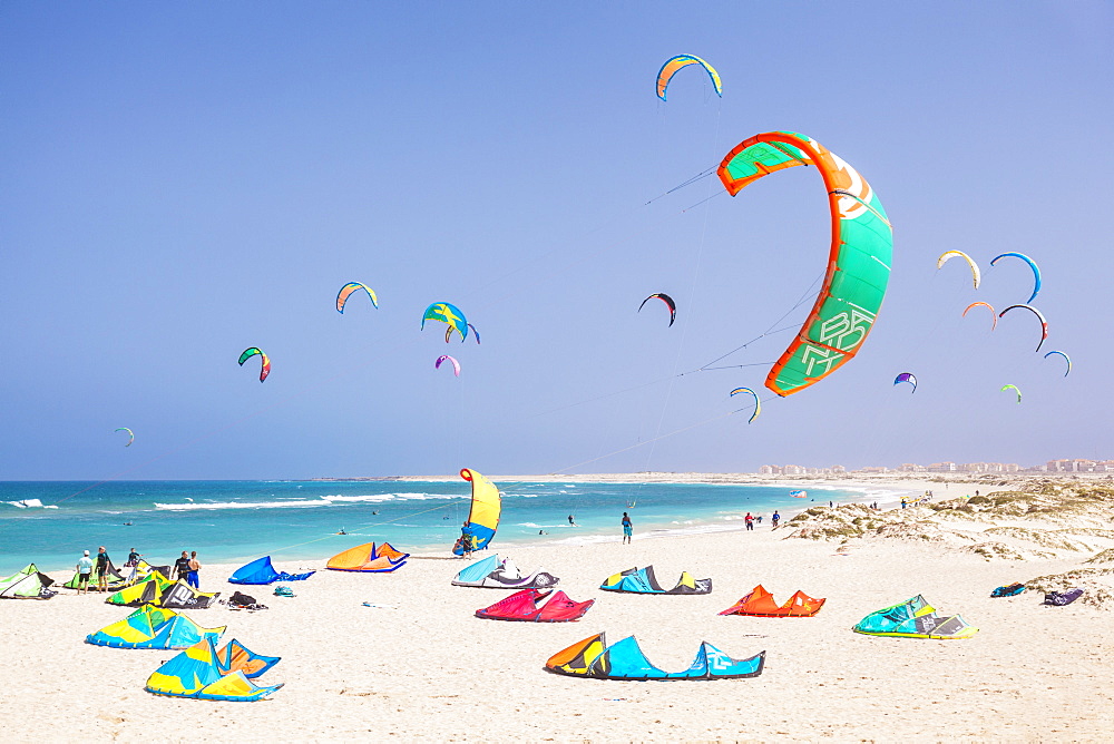 Kite surfers and kite surfing on Kite beach, Praia da Fragata, Costa da Fragata, Santa Maria, Sal Island, Cape Verde, Atlantic, Africa