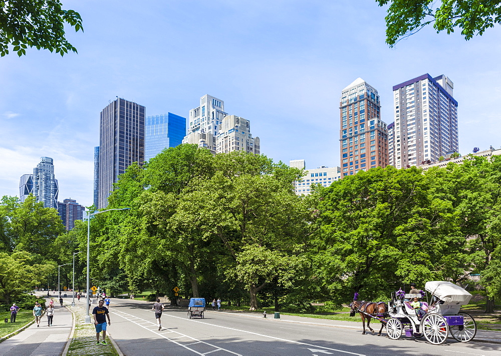 Tourists on a carriage ride, West Drive, Central Park, Manhattan skyscrapers, New York skyline, New York, United States of America, North America