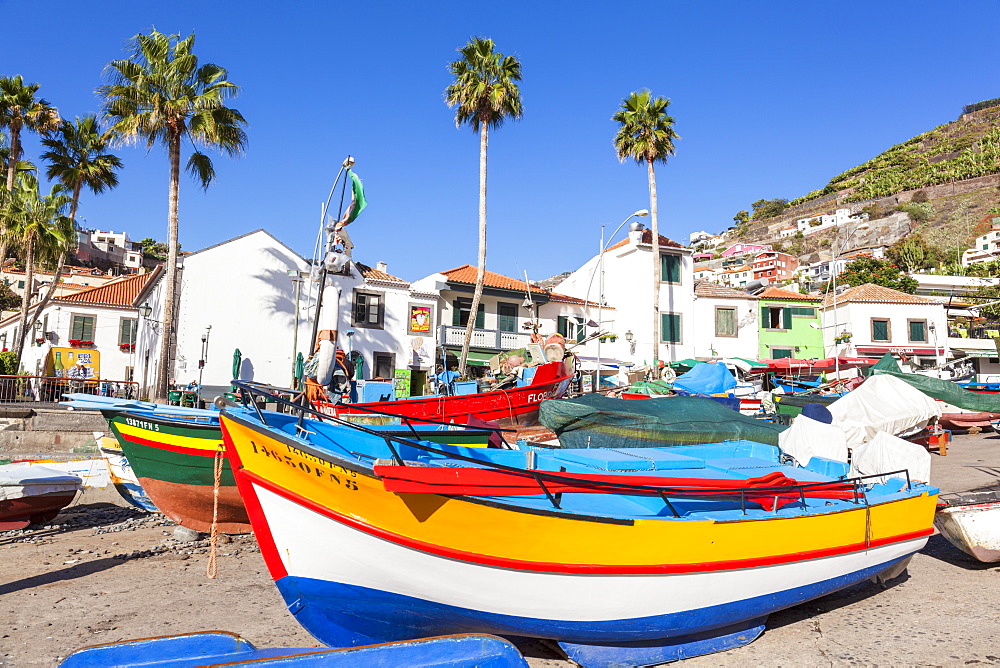 Traditional colourful fishing boats on the beach in Camara de Lobos fishing village, Madeira, Portugal, Atlantic, Europe