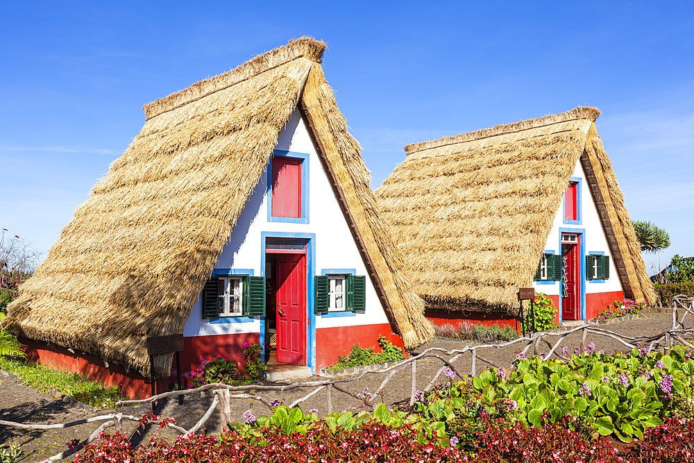 Traditional triangular thatched A-framed Palheiro Houses, Santana, Madeira, Portugal, Atlantic, Europe