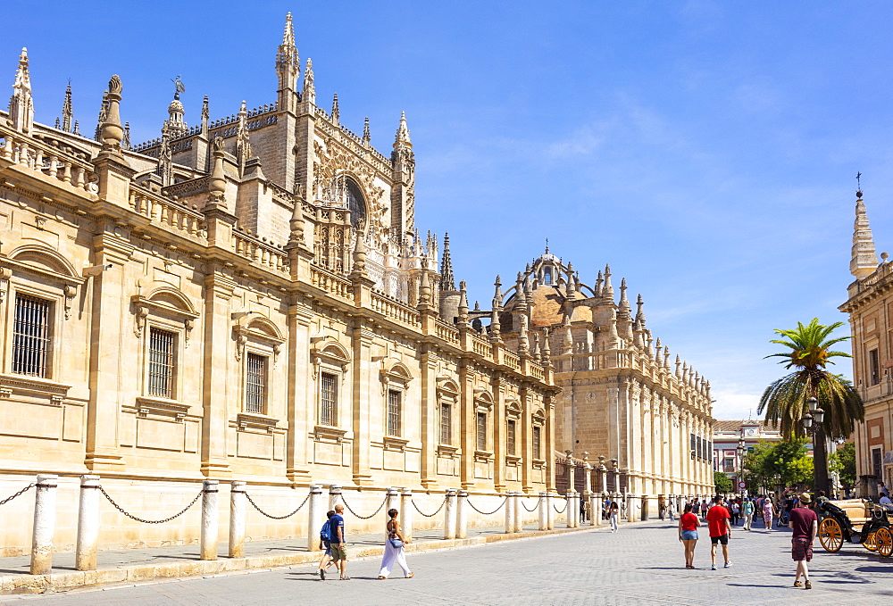 Seville Cathedral of Saint Mary of the See, Calle Fray Ceferino Gonzalez, UNESCO World Heritage Site, Seville, Andalusia, Spain, Europe