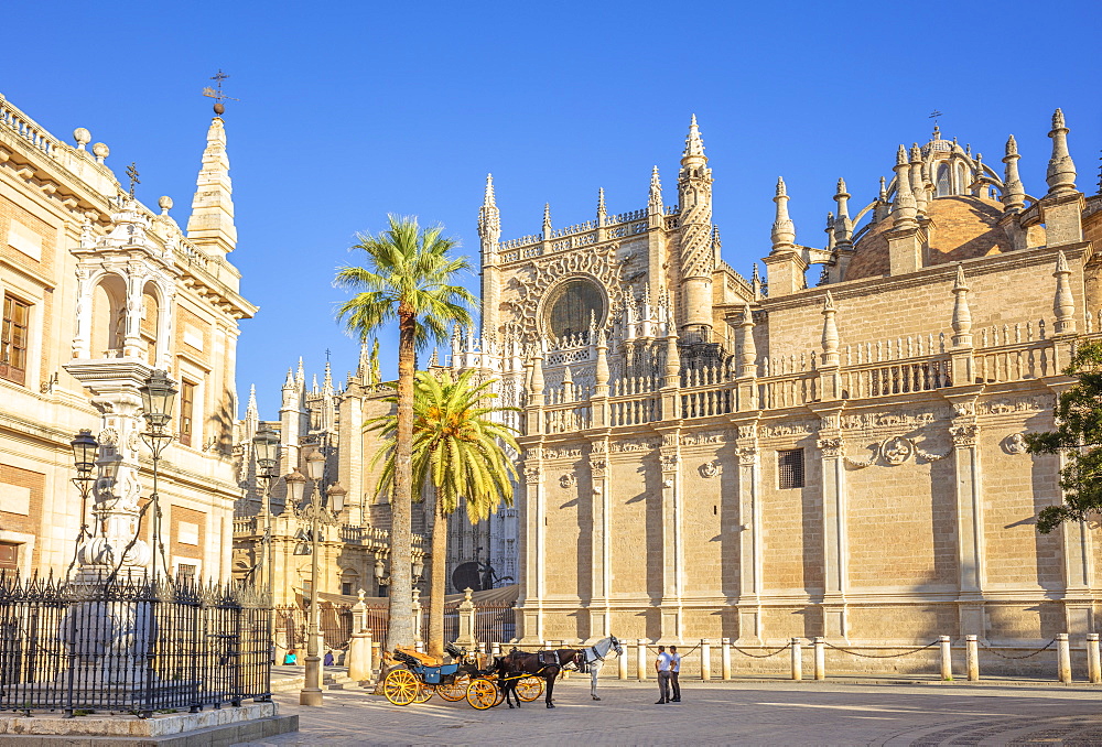 Carriage rides offered outside Seville Cathedral and the General Archive of the Indies building, UNESCO World Heritage Site, Seville, Andalusia, Spain, Europe