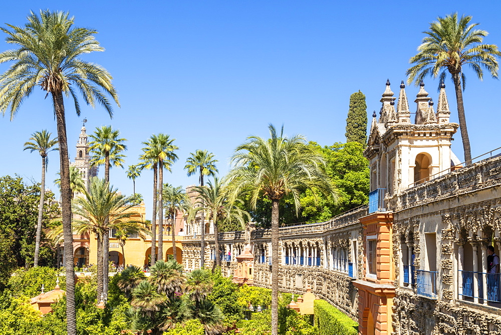 Galeria de Grutesco and the Portal of the Privilege in the Gardens of the Real Alcazar, UNESCO World Heritage Site, Seville, Andalusia, Spain, Europe