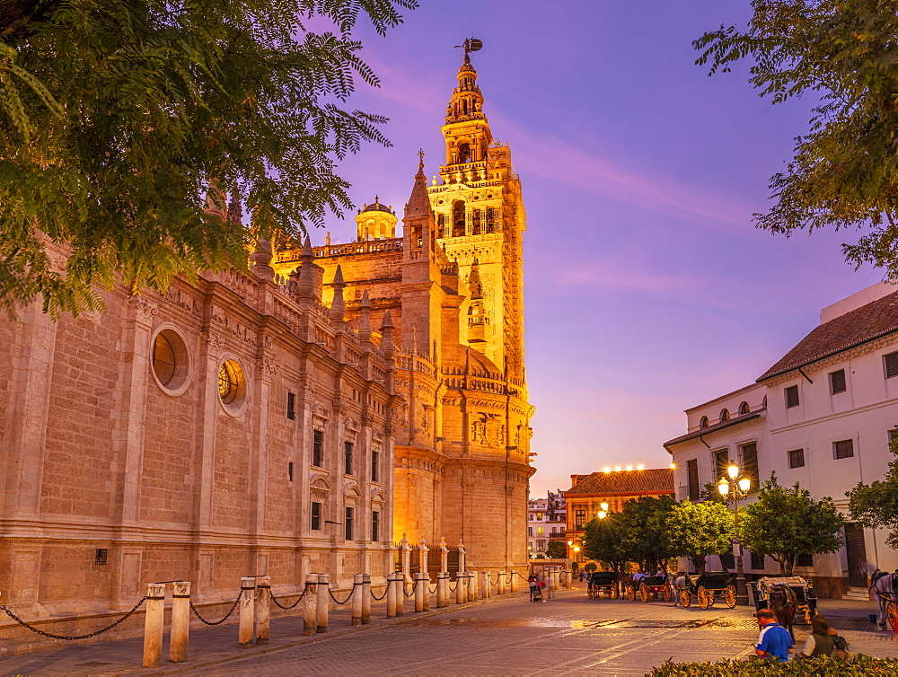 Seville Cathedral of Saint Mary of the See, and La Giralda bell tower at sunset, UNESCO World Heritage Site, Seville, Andalusia, Spain, Europe