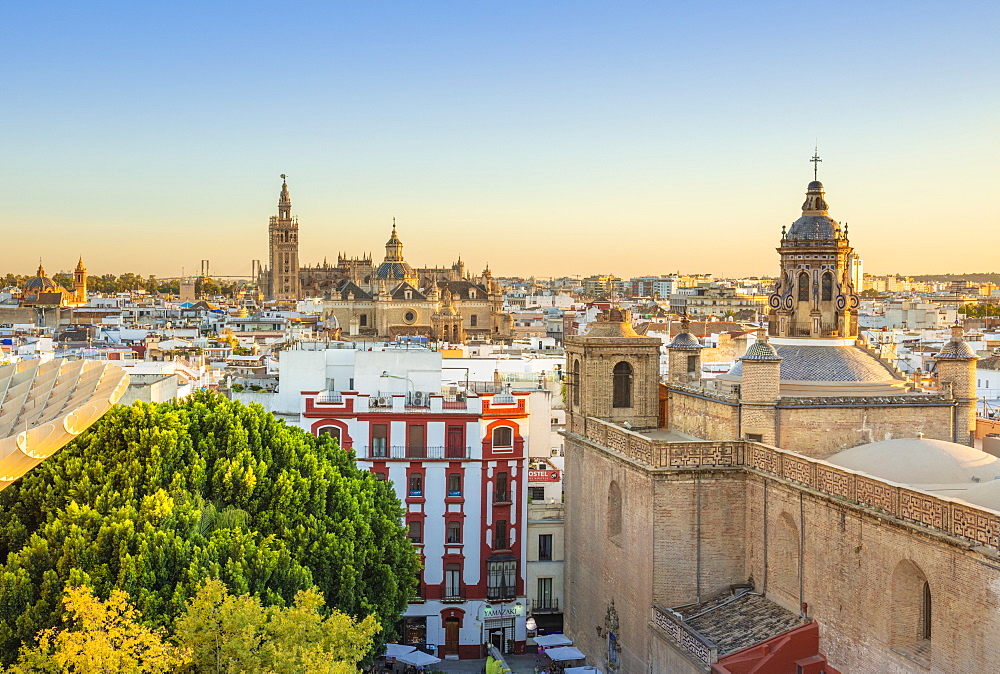 Seville skyline of Cathedral and city rooftops from the Metropol Parasol, Seville, Andalusia, Spain, Europe