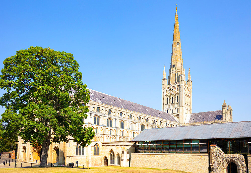 Norwich Cathedral with New Refectory, hostry and spire, Norwich, Norfolk, East Anglia, England, United Kingdom, Europe