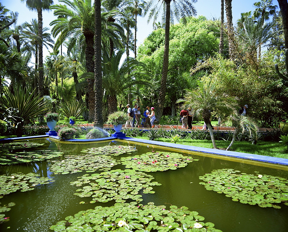 Jardin Majorelle, Marrakech (Marrakesh), Morocco, North Africa, Africa