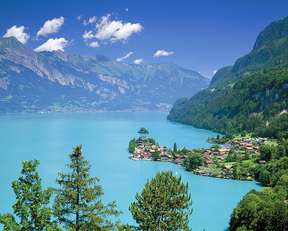 View over Lake Brienz to Iseltwald, Switzerland, Europe