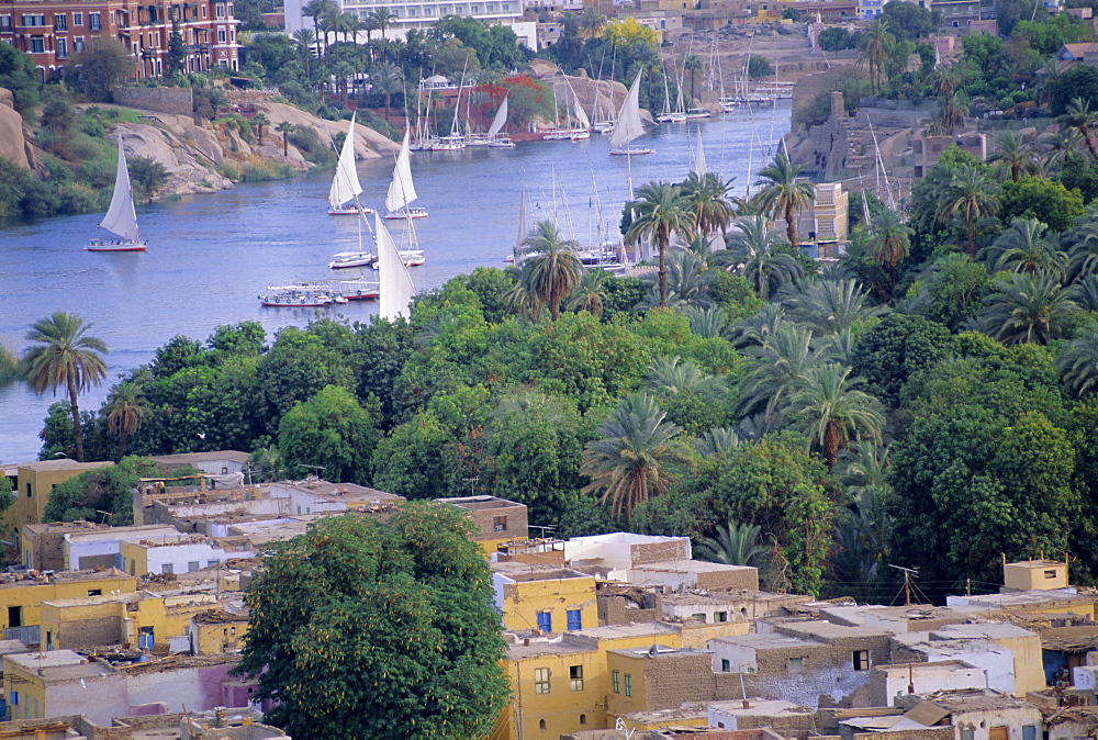 Feluccas on the River Nile, Aswan, Egypt 