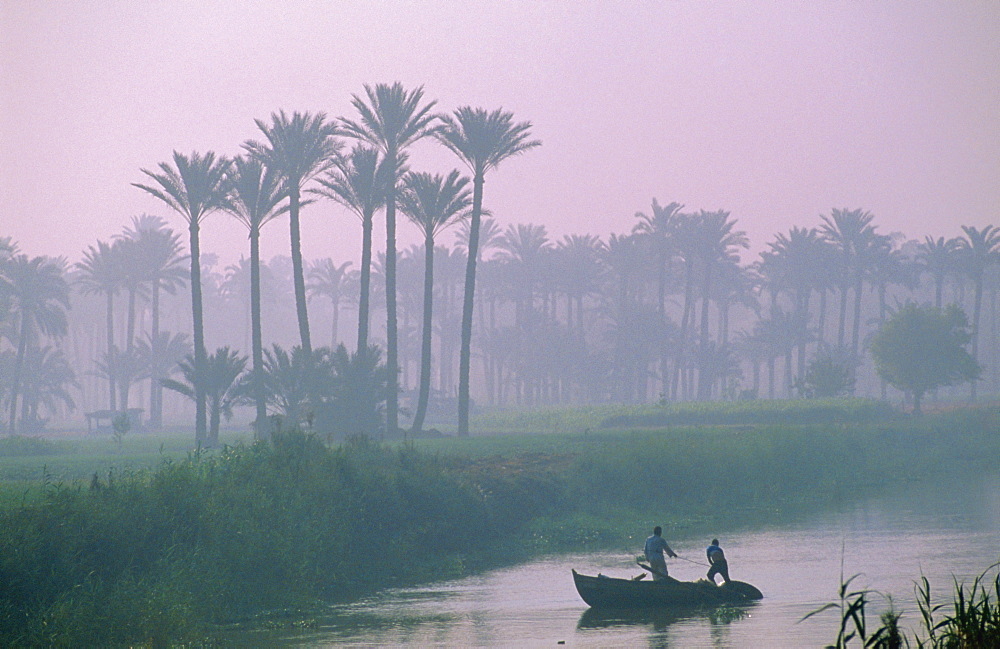 River Nile near Memphis, Egypt, North Africa