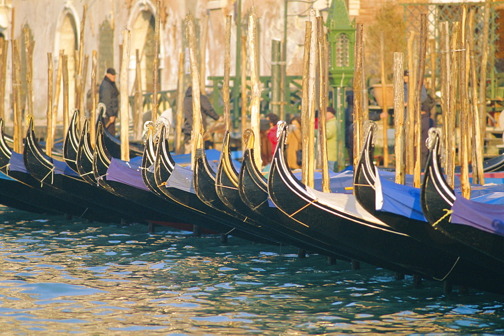 A line of Gondolas, Venice, Veneto, Italy 