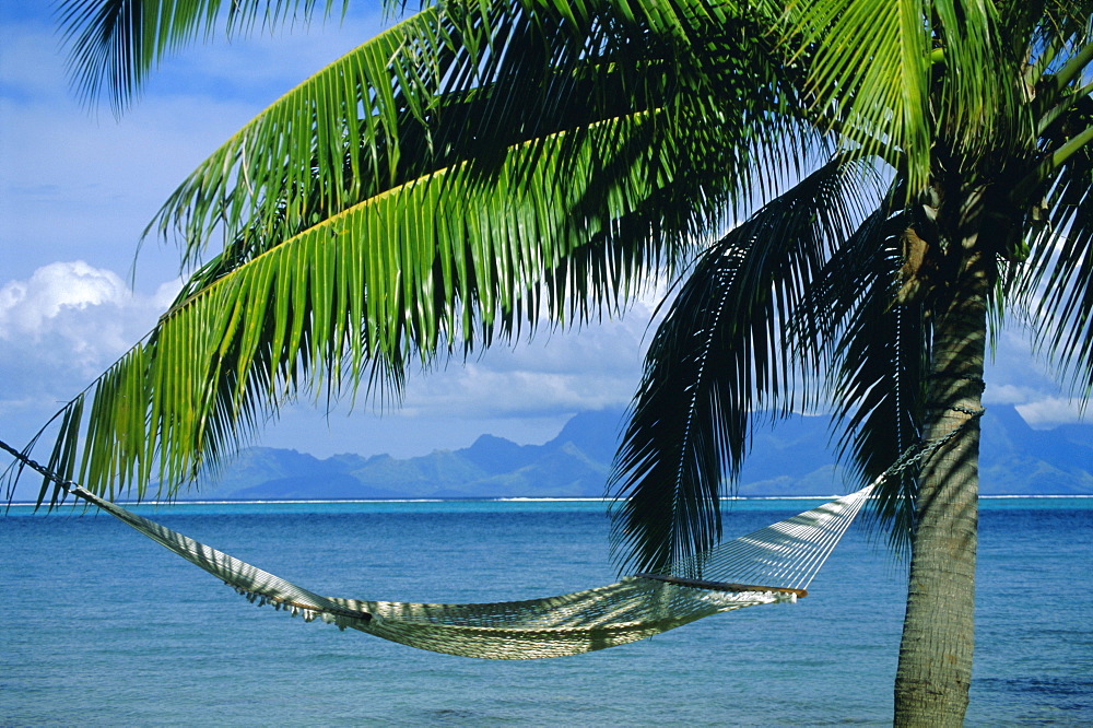 Hammock, Tahiti, Society Islands, French Polynesia, South Pacific Islands, Pacific