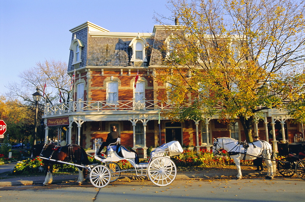 Horse-drawn carriages, Toronto, Ontario, Canada, North America