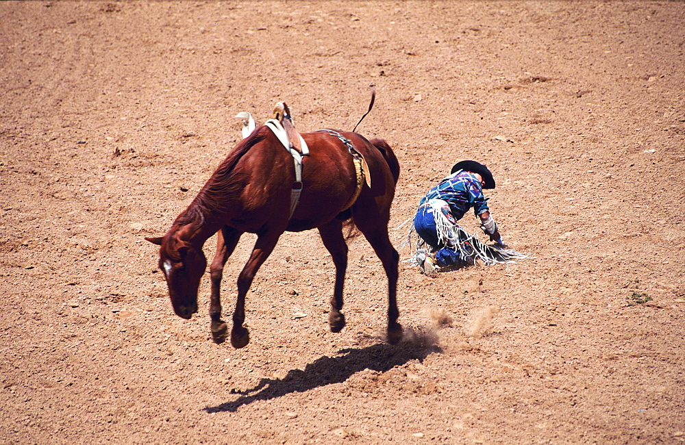 Rodeo fall, Wyoming