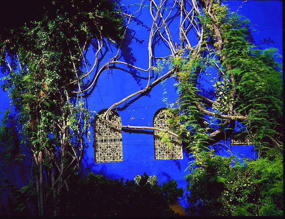 Detail from Majorelle's house and garden, Marrakesh