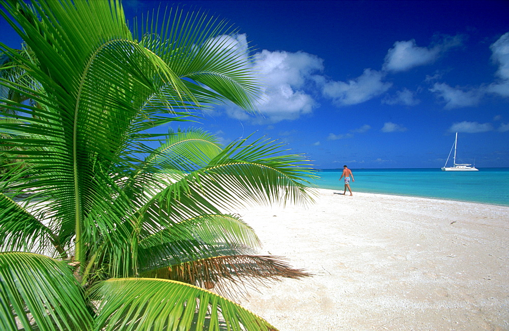 Tourist on tropical beach and yacht moored nearby, Rangiroa