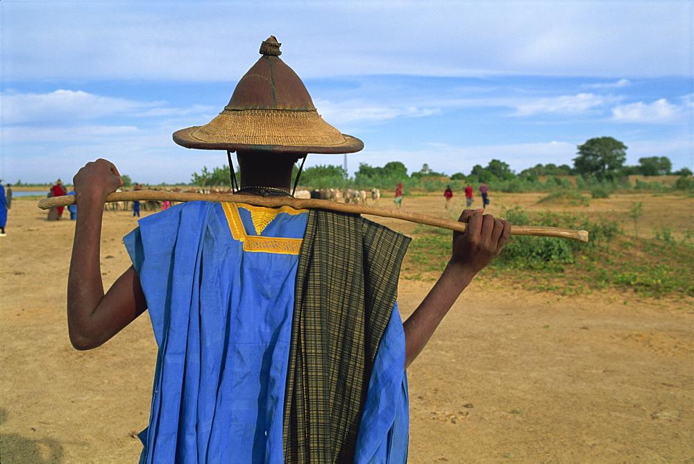 Peul man during transhumance, Sofara, Mali, West Africa, Africa