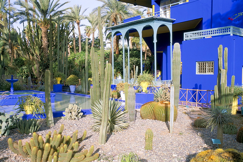 Jardin Majorelle, Marrakech (Marrakesh), Morocco, North Africa, Africa