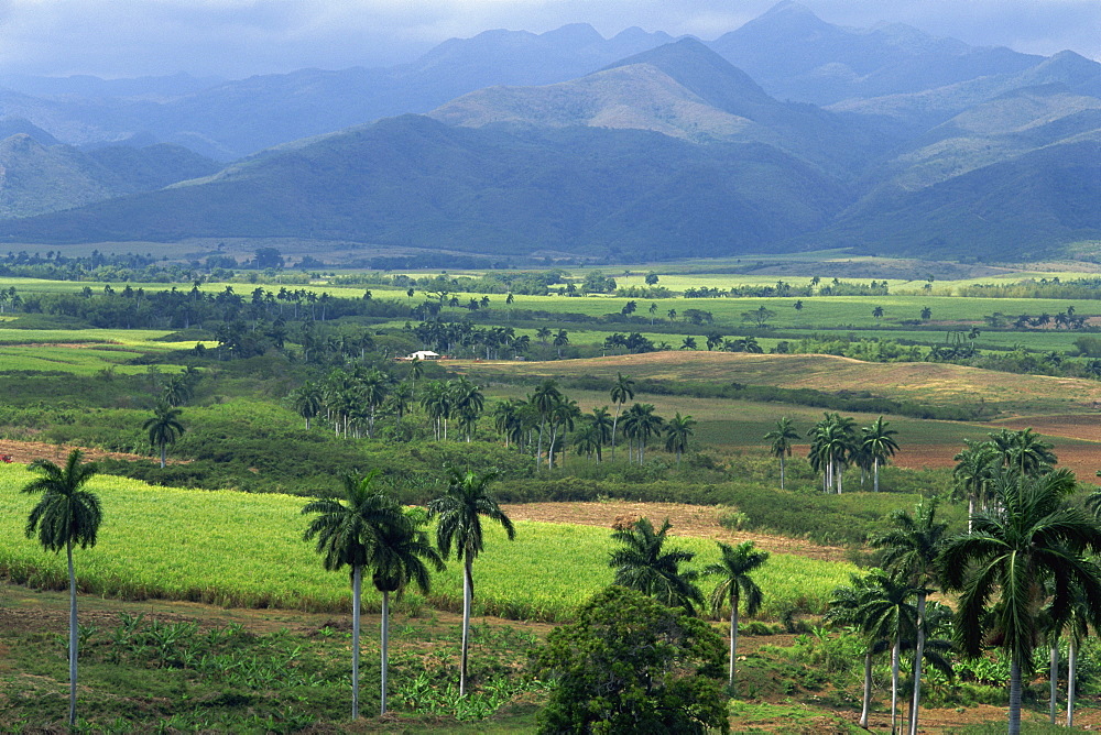 Rural landscape of fields in a green valley with palm trees, and hills beyond, San Luis, Trinidad, Cuba, West Indies, Central America