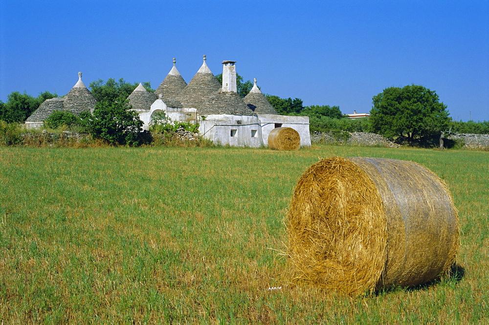 Alberobello region, Apulia (Puglia), Italy