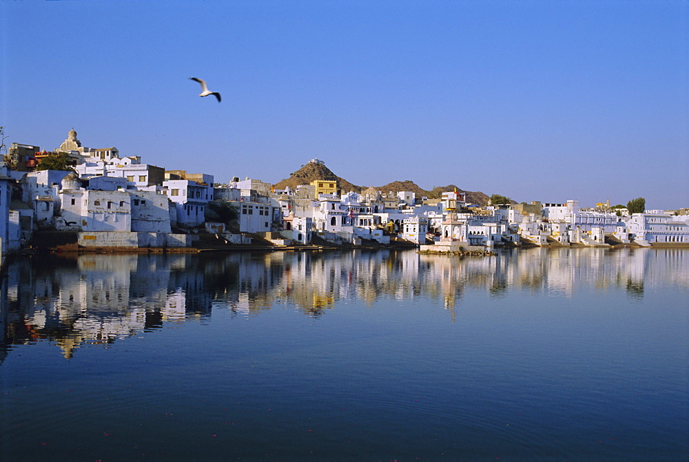 Pushkar, Rajasthan, India