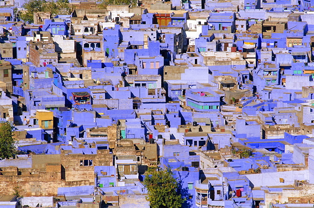 The blue town of Jodhpur, Rajasthan, India, The blue houses are those belonging to the Brahmin caste