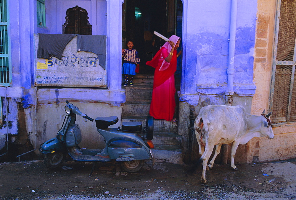 The blue town of Jodhpur, Rajasthan, India, The blue houses are those belonging to the Brahmin caste