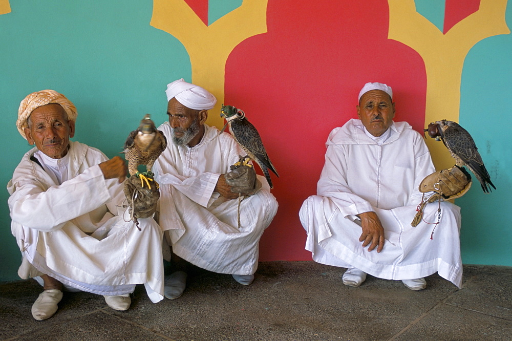 Three falconers with their birds at the Fantasia pour le moussen de Moulay Abdallah, El Jadida, Morocco, North Africa, Africa