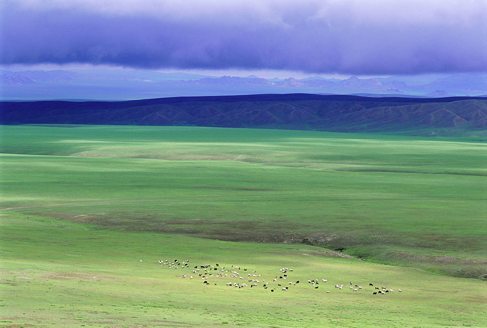 Ovorkhangai Province, Mongolia, Asia