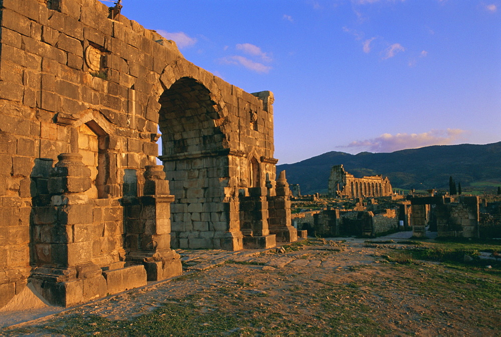 Roman archaeological site, Volubilis, Meknes Region, Morocco, North Africa, Africa