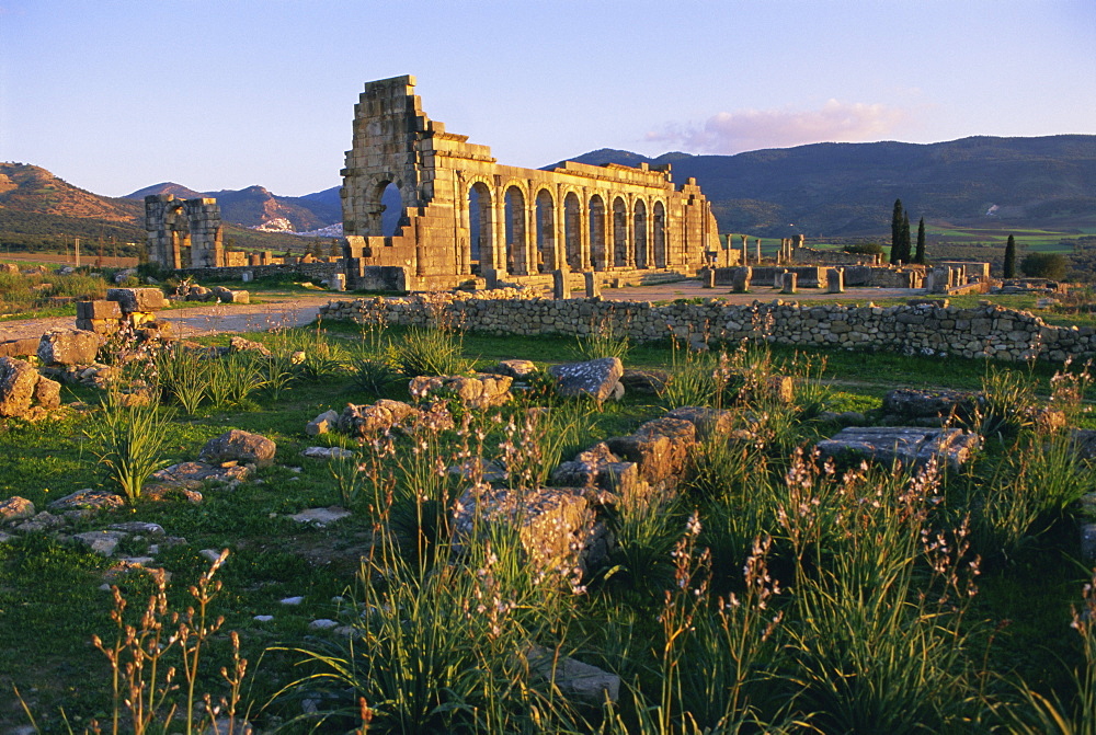 Roman archaeological site, Volubilis, Meknes Region, Morocco, North Africa, Africa