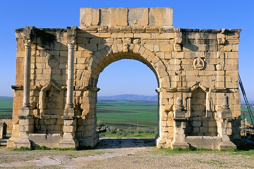 Roman archaeological site of Volubilis, UNESCO World Heritage Site, Meknes region, Morocco, North Africa, Africa