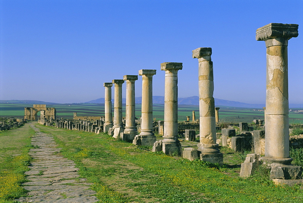 Roman archaeological site, Volubilis, Meknes Region, Morocco, North Africa, Africa