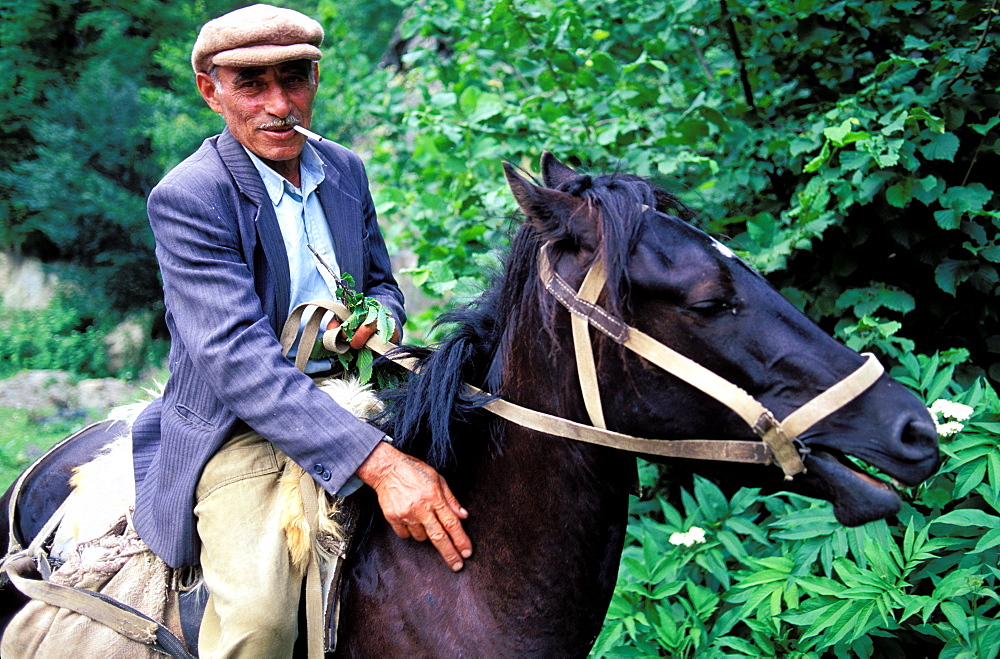 Horseman, Agarcine, Armenia, Asia