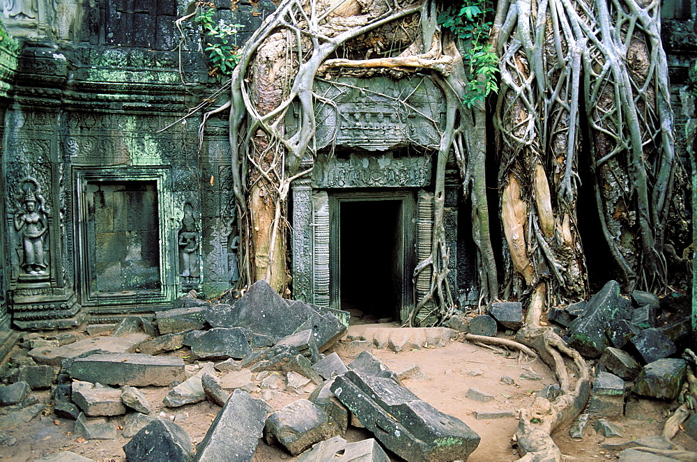 Ta Prohm Temple, Angkor, Cambodia, Asia