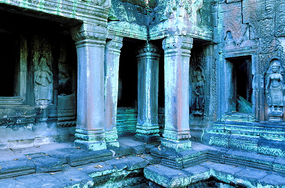 Ta Prohm Temple, Angkor, Cambodia, Asia