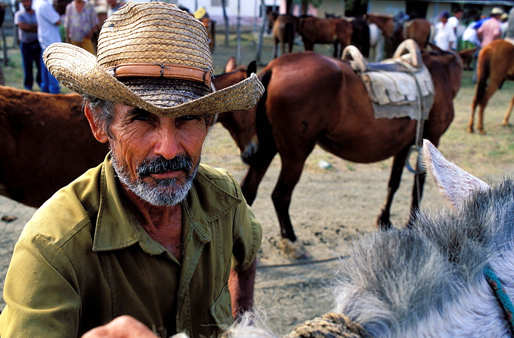 Horse market, Region of Holguin, Cuba, Central America