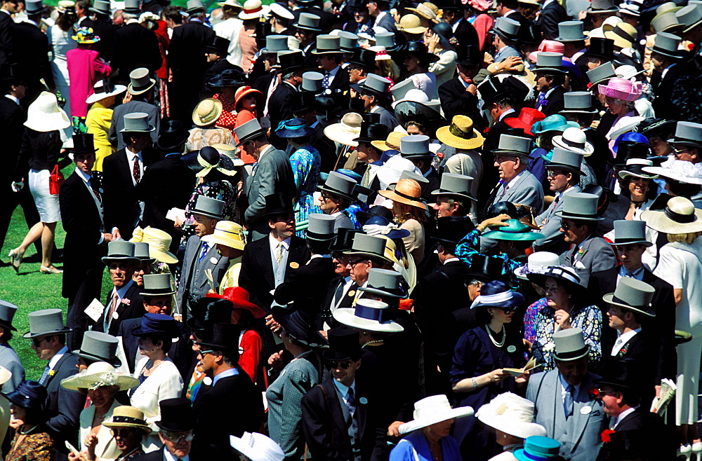 Horse race, Royal Ascot, Ascot, England, UK, Europe