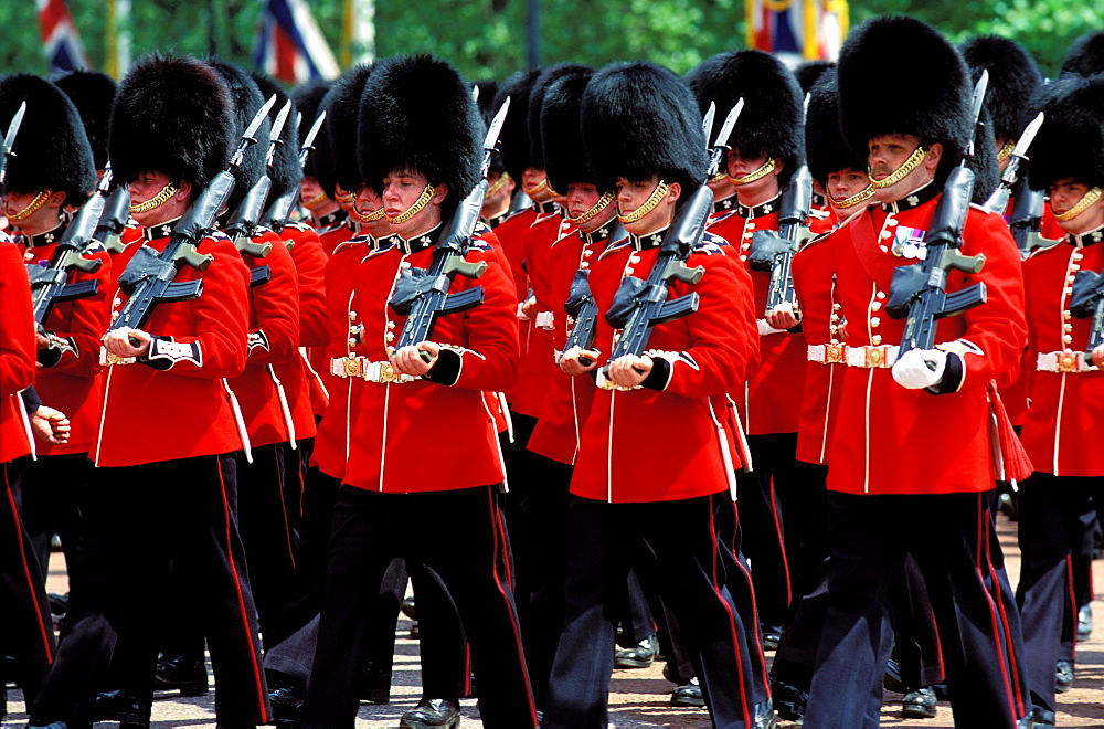 Trooping the colour, London, England, UK, Europe