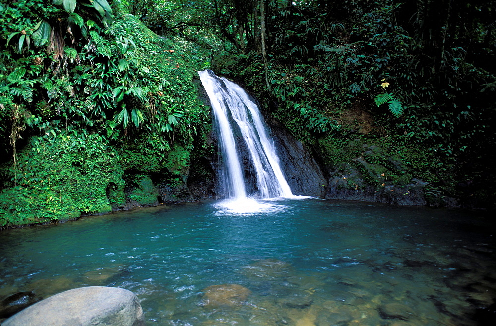 Crevisses waterfall, Basse Terre, Guadeloupe, Caribbean, Central America